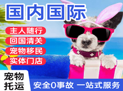 天河航空托运国际宠物托运 【国
